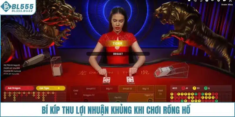 Bí kíp thu lợi nhuận khủng khi chơi rồng hổ